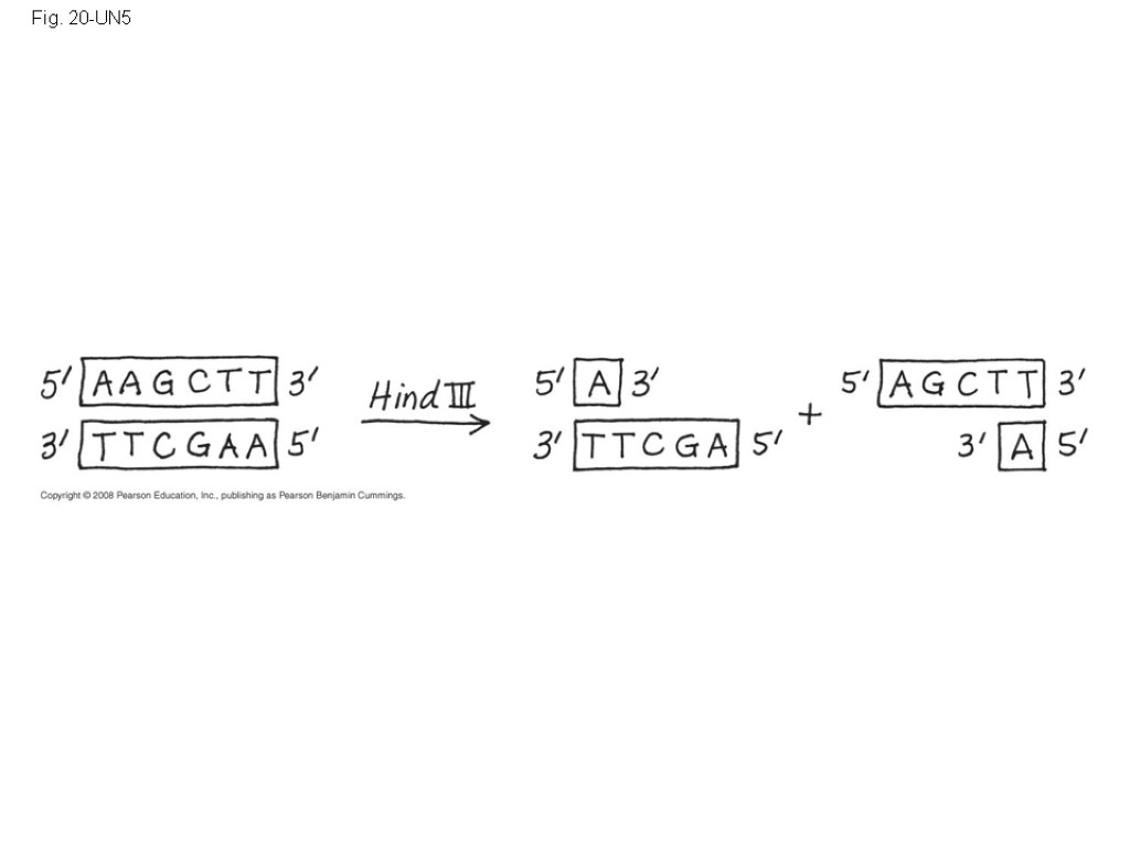 Fig. 20-UN5